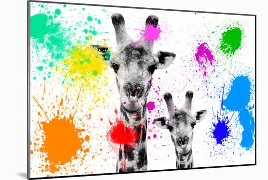 Safari Colors Pop Collection - Giraffes Portrait-Philippe Hugonnard-Mounted Giclee Print