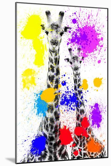 Safari Colors Pop Collection - Giraffes-Philippe Hugonnard-Mounted Premium Giclee Print