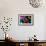 Safari Colors Pop Collection - Rhino II-Philippe Hugonnard-Framed Giclee Print displayed on a wall