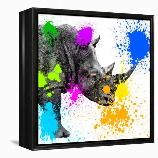 Safari Colors Pop Collection - Rhino Portrait II-Philippe Hugonnard-Framed Premier Image Canvas