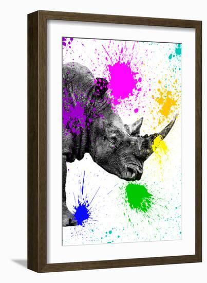 Safari Colors Pop Collection - Rhino Portrait IV-Philippe Hugonnard-Framed Giclee Print