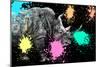 Safari Colors Pop Collection - Rhino Portrait VIII-Philippe Hugonnard-Mounted Giclee Print