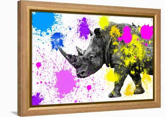 Safari Colors Pop Collection - Rhino-Philippe Hugonnard-Framed Premier Image Canvas