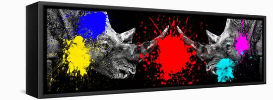 Safari Colors Pop Collection - Rhinos Face to Face-Philippe Hugonnard-Framed Premier Image Canvas