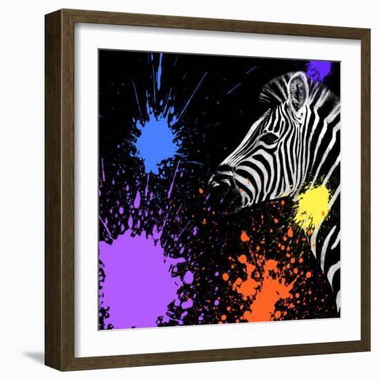 Safari Colors Pop Collection - Zebra II-Philippe Hugonnard-Framed Giclee Print