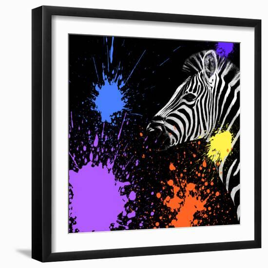 Safari Colors Pop Collection - Zebra II-Philippe Hugonnard-Framed Giclee Print