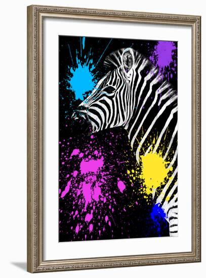 Safari Colors Pop Collection - Zebra III-Philippe Hugonnard-Framed Giclee Print