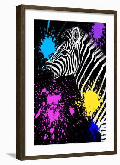 Safari Colors Pop Collection - Zebra III-Philippe Hugonnard-Framed Giclee Print