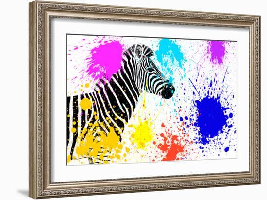 Safari Colors Pop Collection - Zebra IV-Philippe Hugonnard-Framed Giclee Print