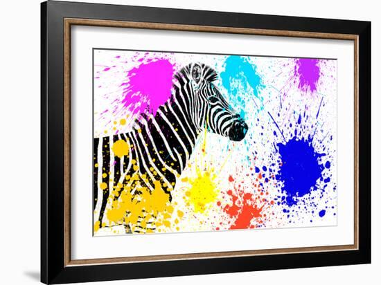 Safari Colors Pop Collection - Zebra IV-Philippe Hugonnard-Framed Giclee Print