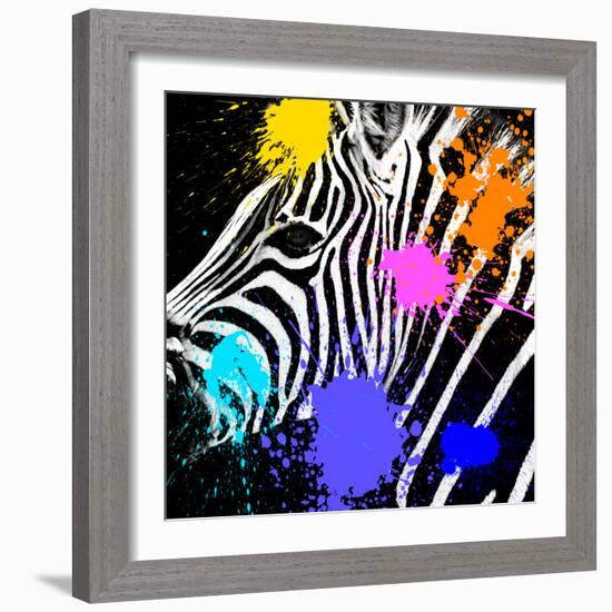 Safari Colors Pop Collection - Zebra Portrait II-Philippe Hugonnard-Framed Giclee Print