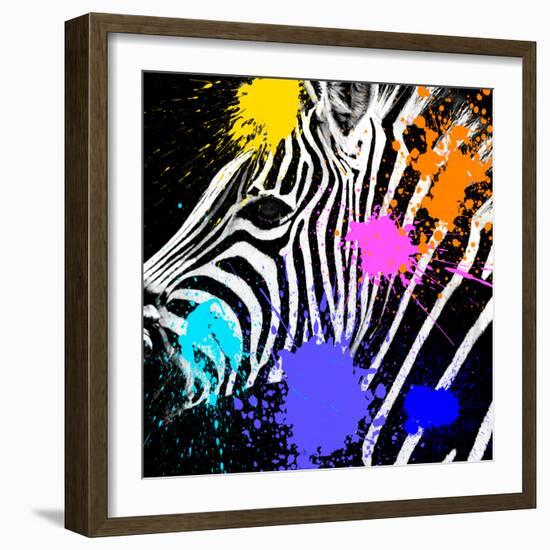 Safari Colors Pop Collection - Zebra Portrait II-Philippe Hugonnard-Framed Giclee Print