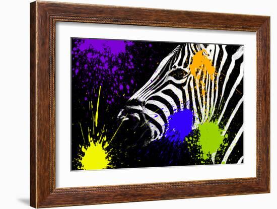 Safari Colors Pop Collection - Zebra Portrait IV-Philippe Hugonnard-Framed Giclee Print