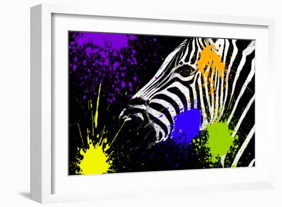 Safari Colors Pop Collection - Zebra Portrait IV-Philippe Hugonnard-Framed Giclee Print