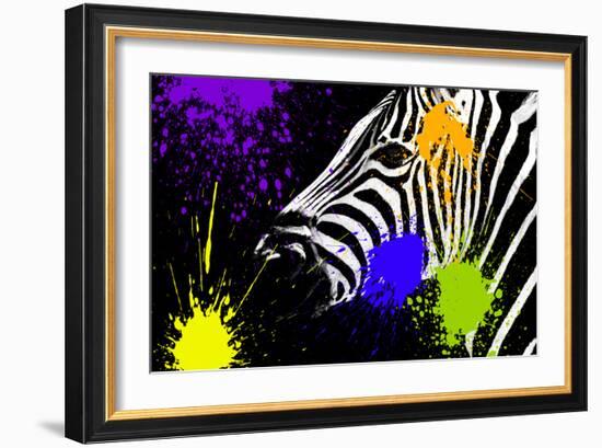 Safari Colors Pop Collection - Zebra Portrait IV-Philippe Hugonnard-Framed Giclee Print