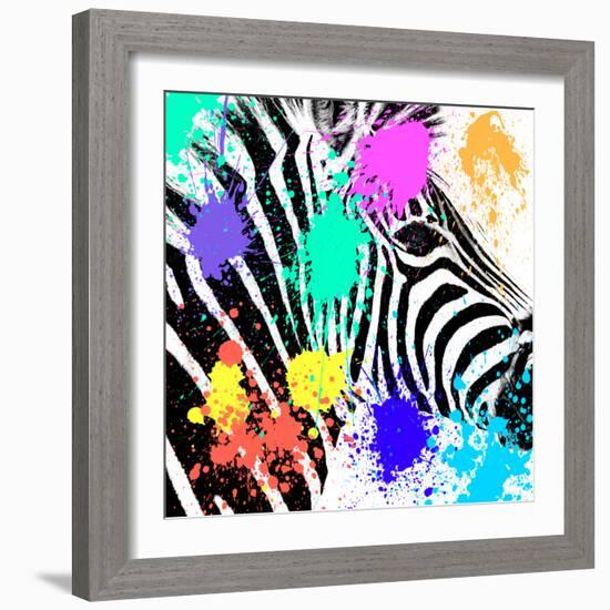 Safari Colors Pop Collection - Zebra Portrait-Philippe Hugonnard-Framed Giclee Print