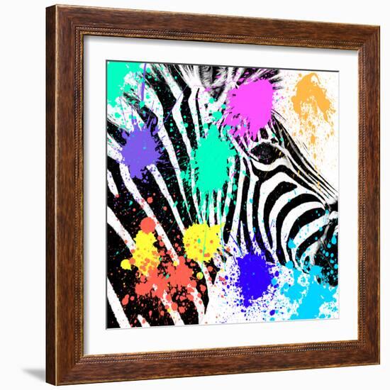 Safari Colors Pop Collection - Zebra Portrait-Philippe Hugonnard-Framed Giclee Print