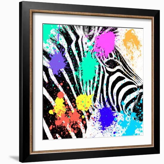 Safari Colors Pop Collection - Zebra Portrait-Philippe Hugonnard-Framed Giclee Print