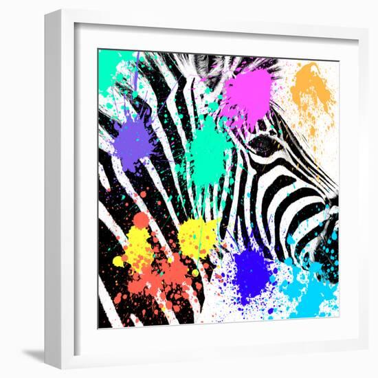 Safari Colors Pop Collection - Zebra Portrait-Philippe Hugonnard-Framed Giclee Print