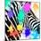 Safari Colors Pop Collection - Zebra Portrait-Philippe Hugonnard-Mounted Giclee Print