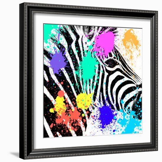 Safari Colors Pop Collection - Zebra Portrait-Philippe Hugonnard-Framed Giclee Print