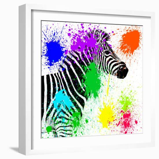 Safari Colors Pop Collection - Zebra Profile II-Philippe Hugonnard-Framed Giclee Print