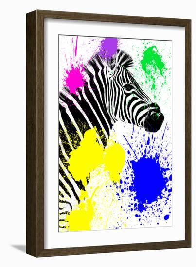 Safari Colors Pop Collection - Zebra Profile-Philippe Hugonnard-Framed Giclee Print