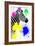 Safari Colors Pop Collection - Zebra Profile-Philippe Hugonnard-Framed Giclee Print