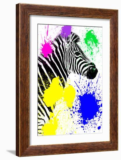 Safari Colors Pop Collection - Zebra Profile-Philippe Hugonnard-Framed Giclee Print