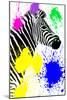 Safari Colors Pop Collection - Zebra Profile-Philippe Hugonnard-Mounted Giclee Print