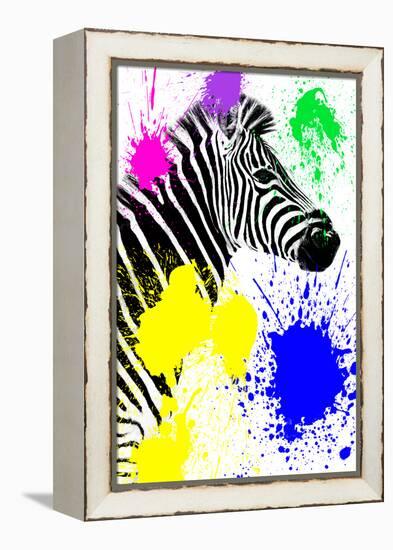 Safari Colors Pop Collection - Zebra Profile-Philippe Hugonnard-Framed Premier Image Canvas