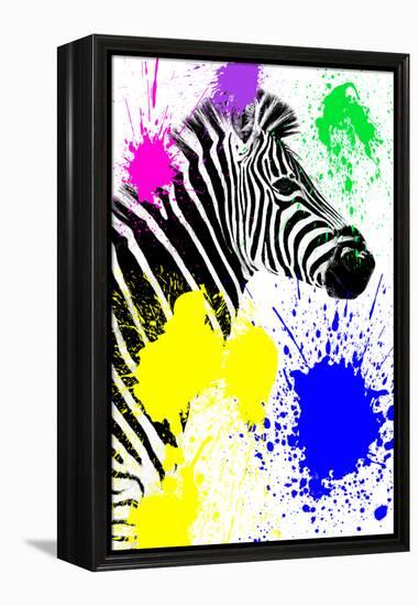 Safari Colors Pop Collection - Zebra Profile-Philippe Hugonnard-Framed Premier Image Canvas