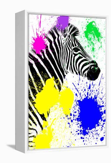 Safari Colors Pop Collection - Zebra Profile-Philippe Hugonnard-Framed Premier Image Canvas