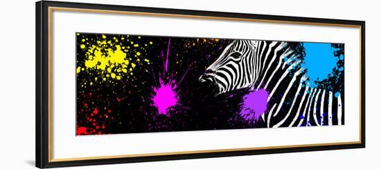 Safari Colors Pop Collection - Zebra VI-Philippe Hugonnard-Framed Giclee Print