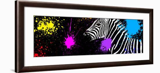 Safari Colors Pop Collection - Zebra VI-Philippe Hugonnard-Framed Giclee Print