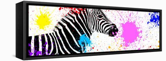 Safari Colors Pop Collection - Zebra VII-Philippe Hugonnard-Framed Premier Image Canvas