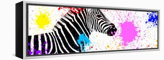 Safari Colors Pop Collection - Zebra VII-Philippe Hugonnard-Framed Premier Image Canvas