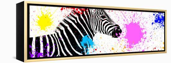 Safari Colors Pop Collection - Zebra VII-Philippe Hugonnard-Framed Premier Image Canvas