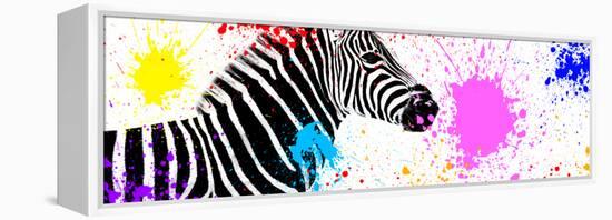 Safari Colors Pop Collection - Zebra VII-Philippe Hugonnard-Framed Premier Image Canvas