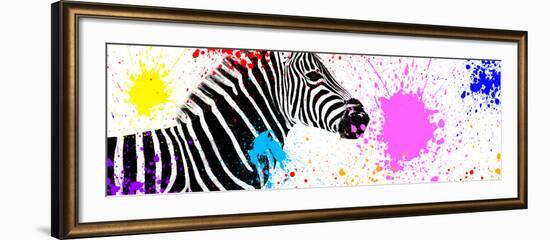 Safari Colors Pop Collection - Zebra VII-Philippe Hugonnard-Framed Giclee Print