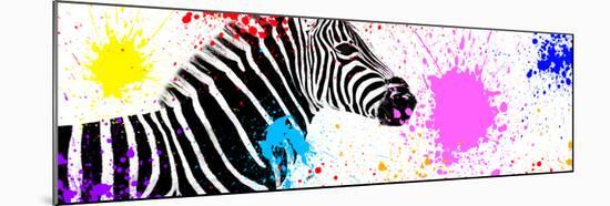 Safari Colors Pop Collection - Zebra VII-Philippe Hugonnard-Mounted Giclee Print