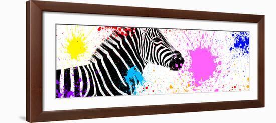 Safari Colors Pop Collection - Zebra VII-Philippe Hugonnard-Framed Giclee Print