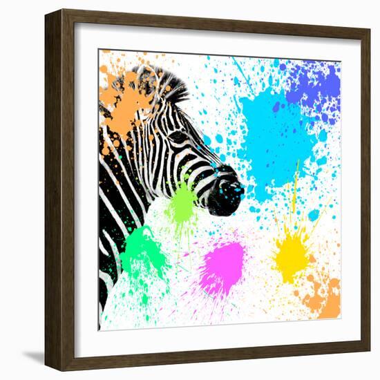 Safari Colors Pop Collection - Zebra-Philippe Hugonnard-Framed Giclee Print