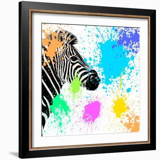 Safari Colors Pop Collection - Zebra-Philippe Hugonnard-Framed Giclee Print