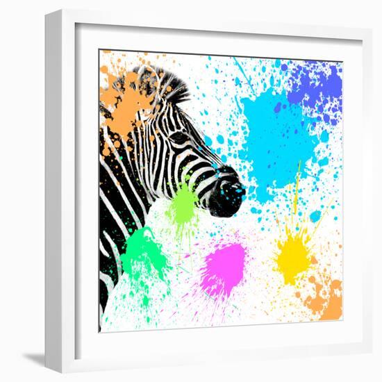 Safari Colors Pop Collection - Zebra-Philippe Hugonnard-Framed Giclee Print