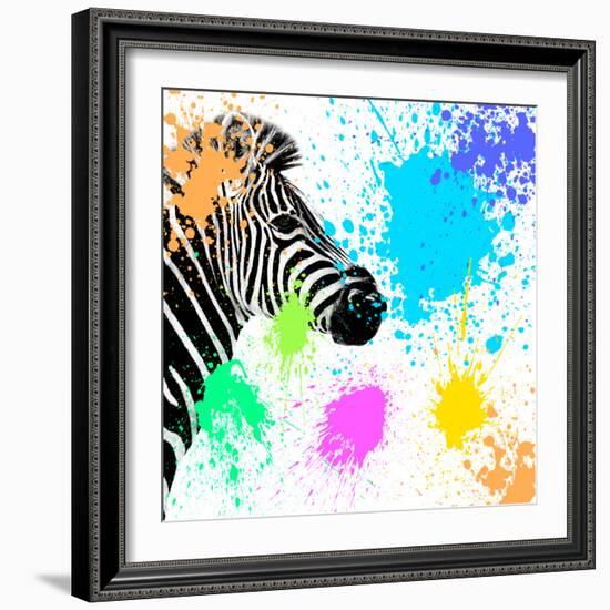 Safari Colors Pop Collection - Zebra-Philippe Hugonnard-Framed Giclee Print