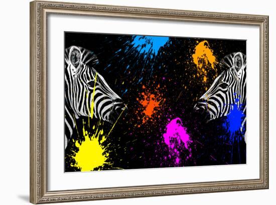 Safari Colors Pop Collection - Zebras Face to Face II-Philippe Hugonnard-Framed Giclee Print