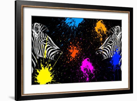 Safari Colors Pop Collection - Zebras Face to Face II-Philippe Hugonnard-Framed Giclee Print