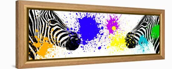 Safari Colors Pop Collection - Zebras Face to Face III-Philippe Hugonnard-Framed Premier Image Canvas