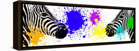 Safari Colors Pop Collection - Zebras Face to Face III-Philippe Hugonnard-Framed Premier Image Canvas